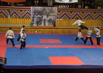 South Koreans display Taekwondo skills in Thimphu