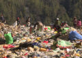 Students battle foul odour to make extra cash