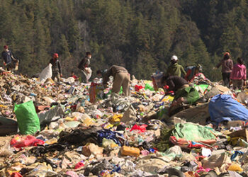 Students battle foul odour to make extra cash