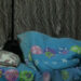 Sleeping 7-9 hours a key to active mind and body, health experts say