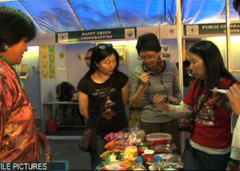 GAB faces shortage of trained language tour guides