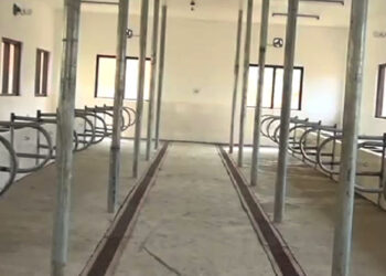 Cattle quarantine station in Nganglam opens