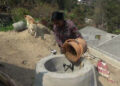 Samtse’s soaring biogas popularity