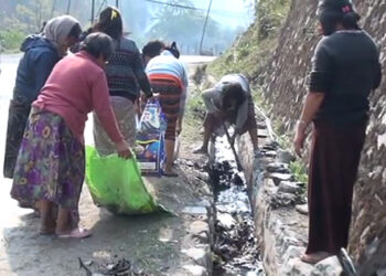 Nanglam town in dire need of garbage truck