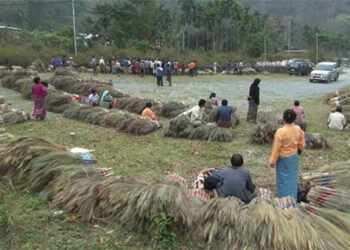 Broom cultivation thrives in Sarpang