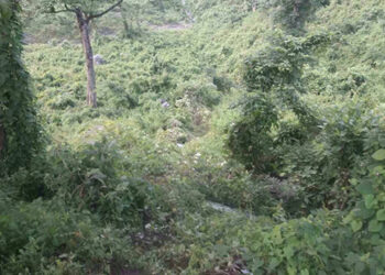 2 dead, 1 injured in accident