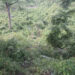 2 dead, 1 injured in accident