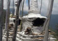 Trashigang Police forward chorten vandalism case to OAG