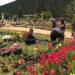 Flower exhibition to open at Memorial Chorten