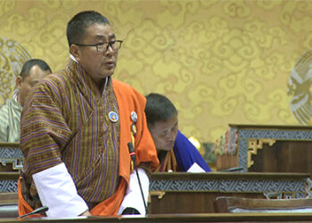 Bhutan has enough medical specialists and equipment, claims health minister