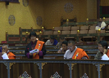 MoWHS minister questioned on locally made bricks