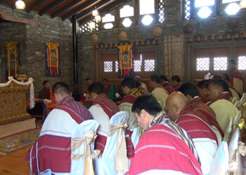 Nangkha Nangdrik training for DT Chairpersons