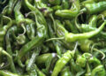 Philooma’s green chillies to be available from September