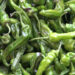 Philooma’s green chillies to be available from September