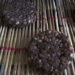 Soya bean offers business prospects for Dechhenling farmers