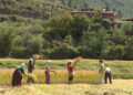 Bhutan scales back ambitious all-organic goal