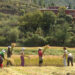 Bhutan scales back ambitious all-organic goal