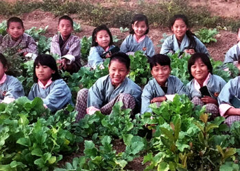 Towards better nutrition for school children