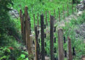 Drukjeygang farmers anticipate bountiful harvest