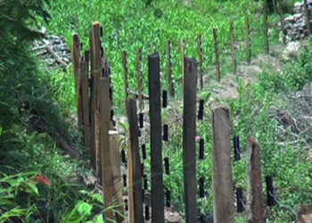 Drukjeygang farmers anticipate bountiful harvest