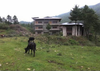 Five men apprehended for cattle theft