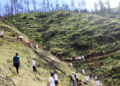 DHI initiative to rehabilitate forests destroyed by fire