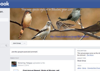 Birders in Bhutan use Facebook to document birds’ information