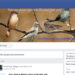 Birders in Bhutan use Facebook to document birds’ information
