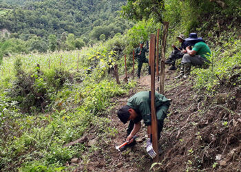 Electric fencing for Joenkhar village in Sagteng