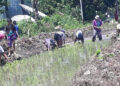 More youth in Pema Gatshel engage in agriculture