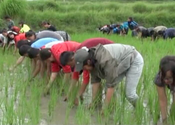 Thimphu youth engaged in meaningful activities