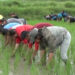 Thimphu youth engaged in meaningful activities