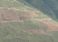 Transforming Samazingkha ridge into Agroforestry landscape