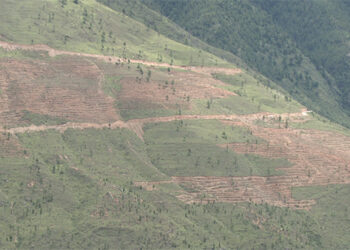 Transforming Samazingkha ridge into Agroforestry landscape