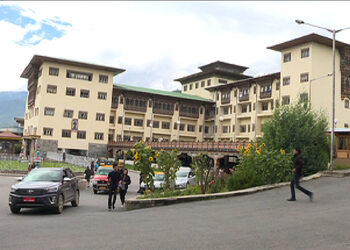 Woman mauled by bear