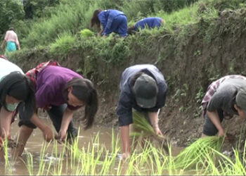 Zhemgang students learn farming skills
