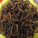 Poor cordyceps quality disappoints buyers in Paro