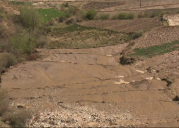 Towards achieving land degradation neutrality