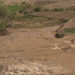 Towards achieving land degradation neutrality