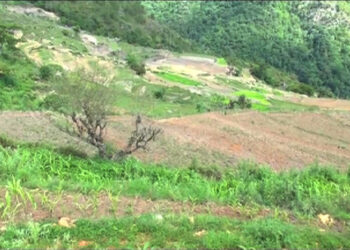 Domkhar’s paddy field redevelopment gives farmers renewed hope