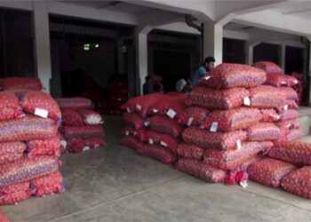 Low prices disappoint potato farmers in east