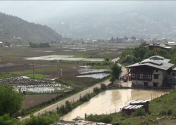 Incorporating Conservation Agriculture can help achieve SDG, say experts