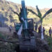 Farmers hope for better lives as farm road construction begins