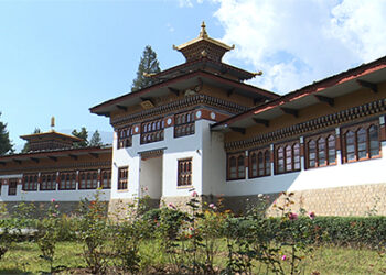 High Court dismisses Druk Nyamrup Tshogpa’s petition