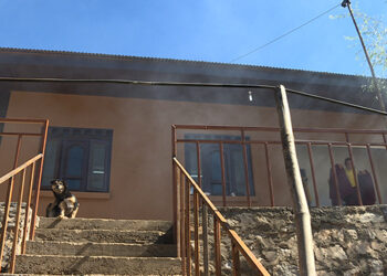 ICU for animals opens in Thimphu