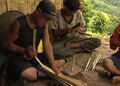 Tapping into SAARC region’s neglected rich bamboo resource