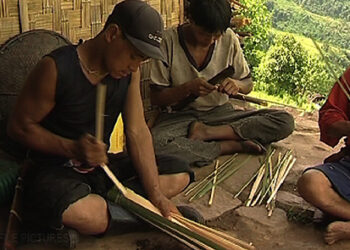 Tapping into SAARC region’s neglected rich bamboo resource