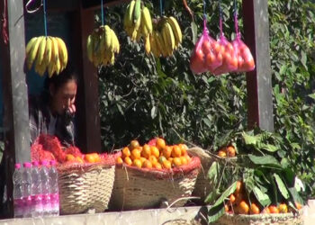 Earning pocket money while on winter vacation