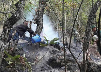 Fire burns over 80 acres of forest in Shumar Gewog