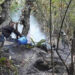Fire burns over 80 acres of forest in Shumar Gewog